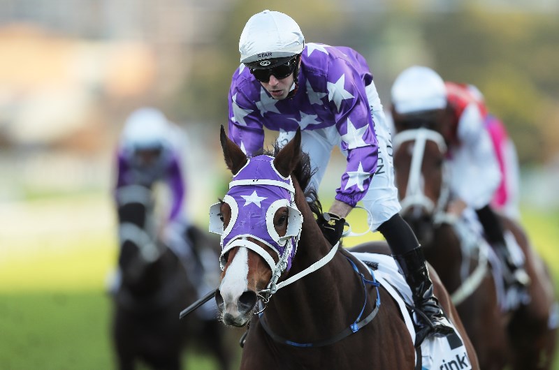 brenton avdulla megabet