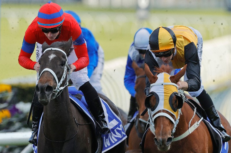 George Main Betting Odds