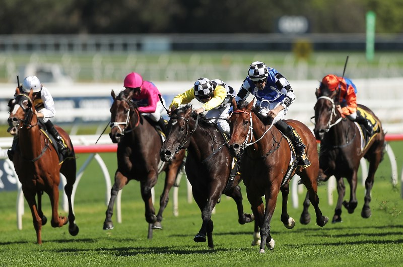Wyong Tips