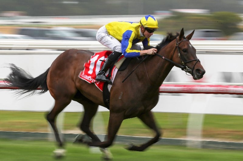 Big Bets for 05.09.2020