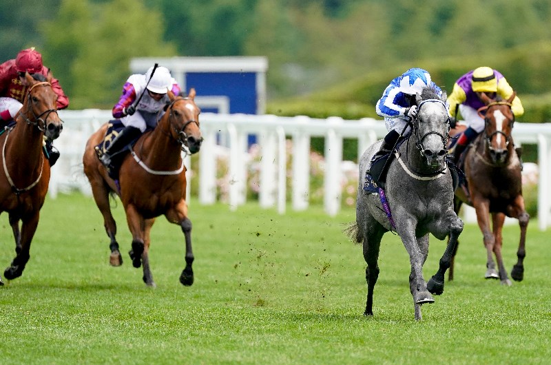 Art Power ascot