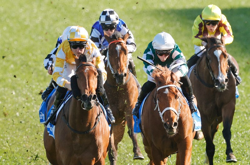 Big Bets Results from 05.09.2020