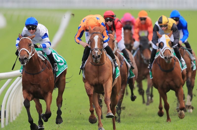 Epsom Handicap Odds