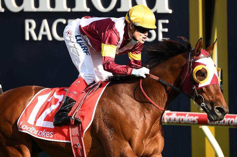 Toorak Handicap Tips