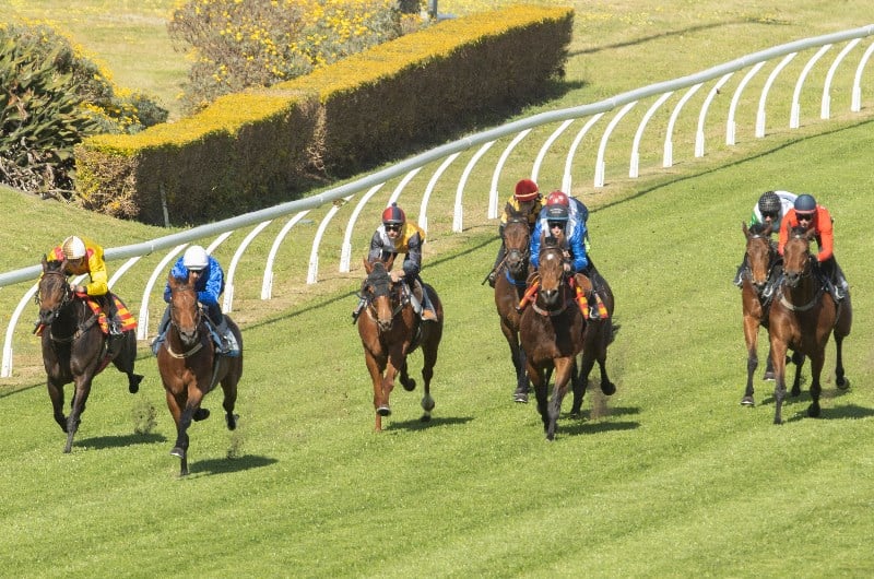 Bivouac impresses in trial - news