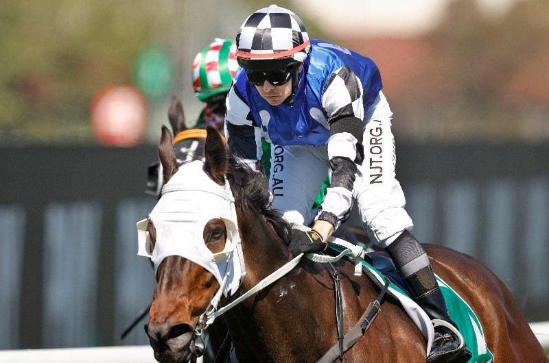 Andrew Gibbons megabet