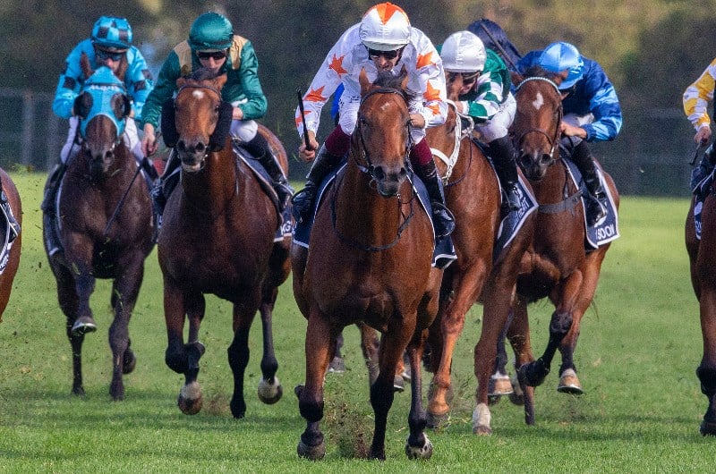 Big Bets for 12.09.2020