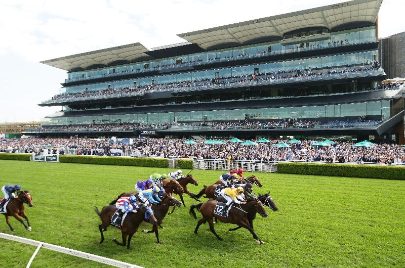 Weekend Racing Multi