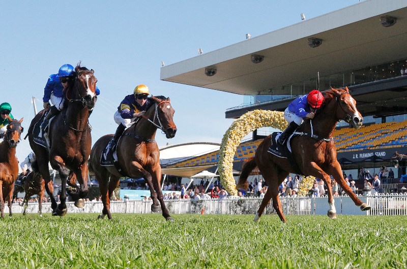 Big Bets Results from 12.09.2020