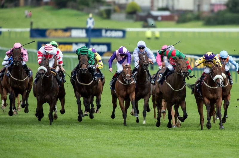 ayr gold cup