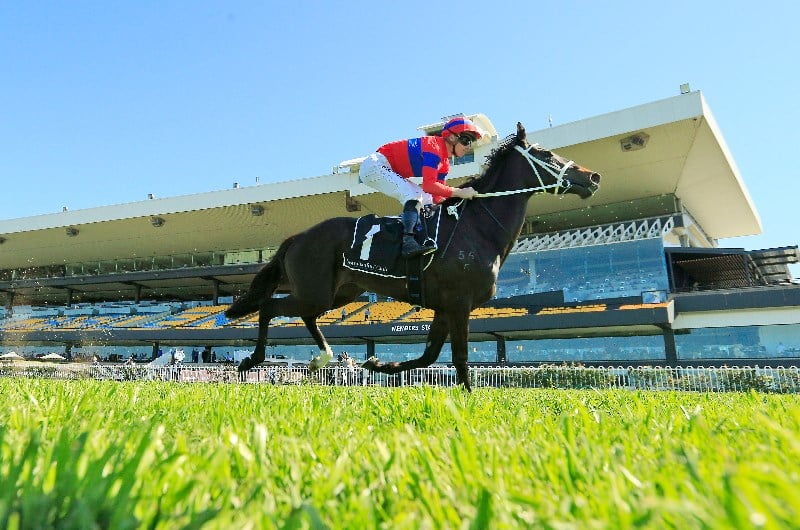 George Main Stakes Final Field