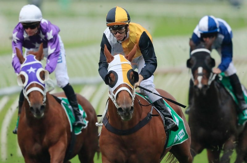 Big Bets for 19.09.2020
