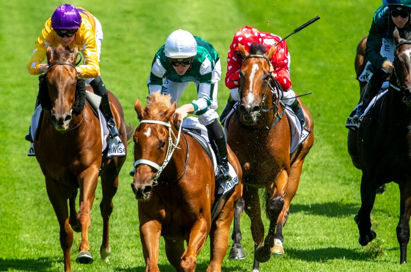 Weekend Racing Multi