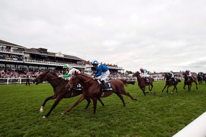 ayr races september