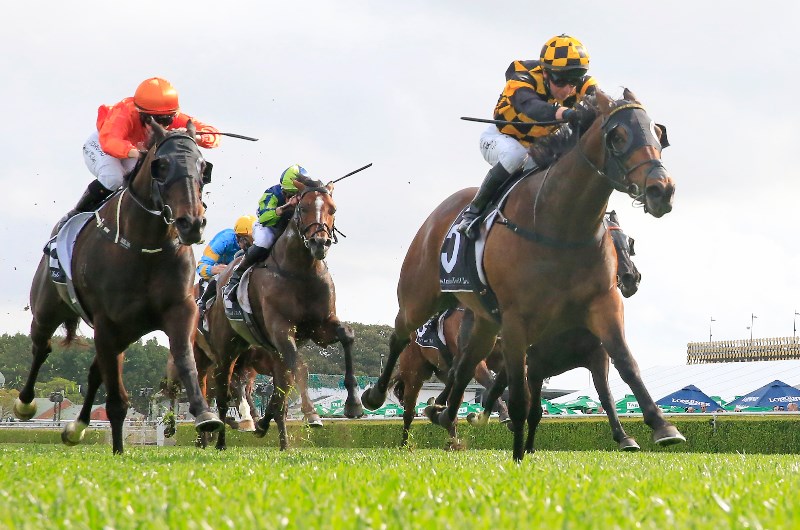 Big Bets Results from 19.09.2020