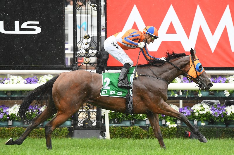Empire Rose Stakes Tips