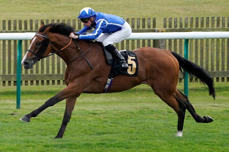 withhold newmarket