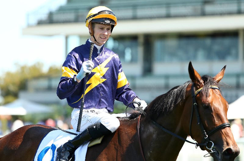 jye mcneil megabet