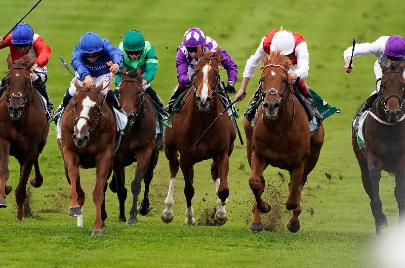 middle park stakes