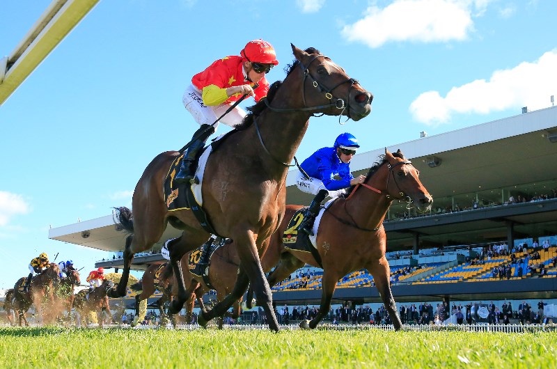 Big Bets Results from 26.09.2020