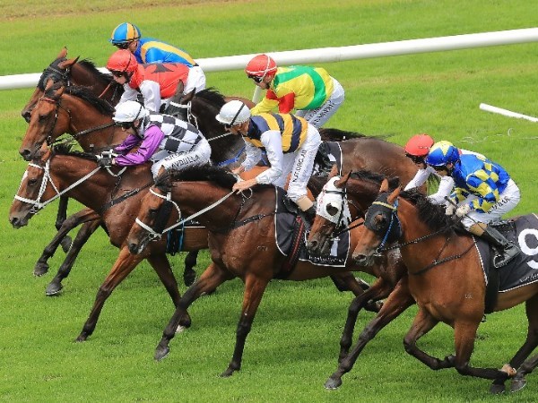 Grafton Racing Tips for 03.03.2020