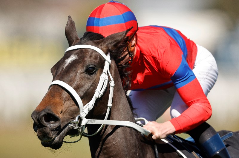 Winx Stakes Winx Stakes