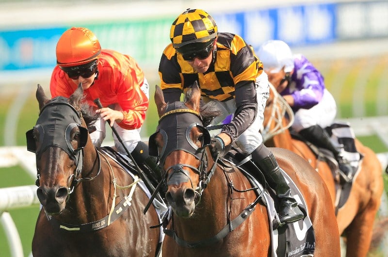 Epsom Handicap Final Field