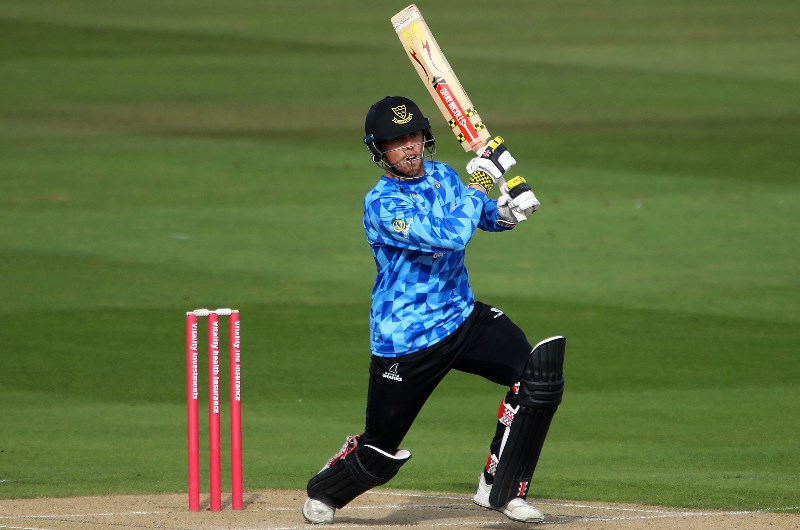 Sussex sharks