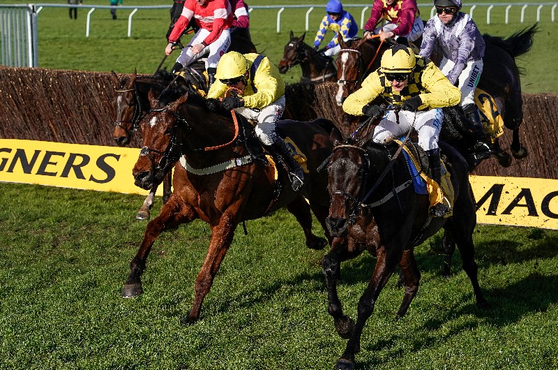 cheltenham Festival