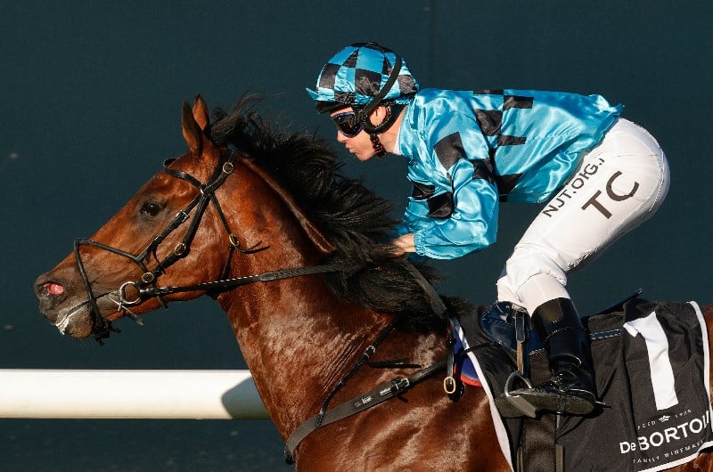 Tim Clark Megabet