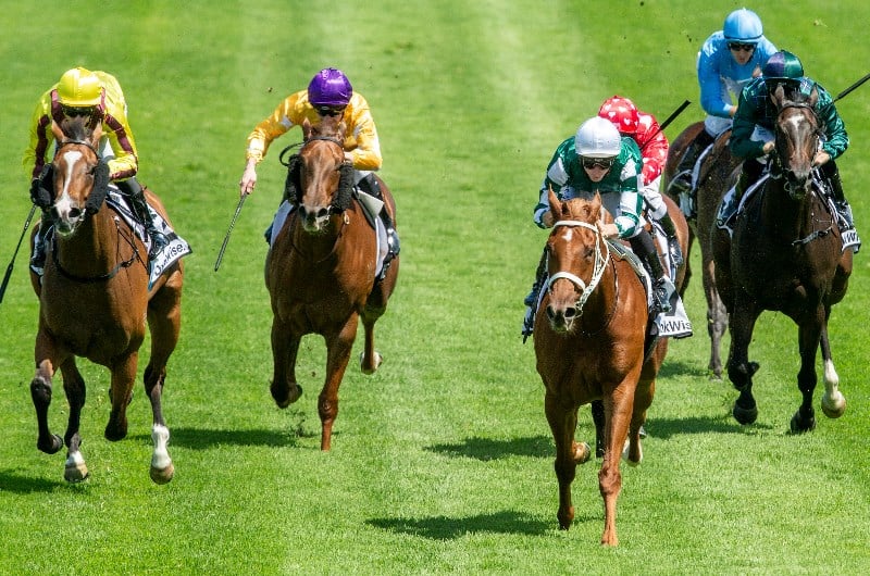 Big Bets for 03.10.2020
