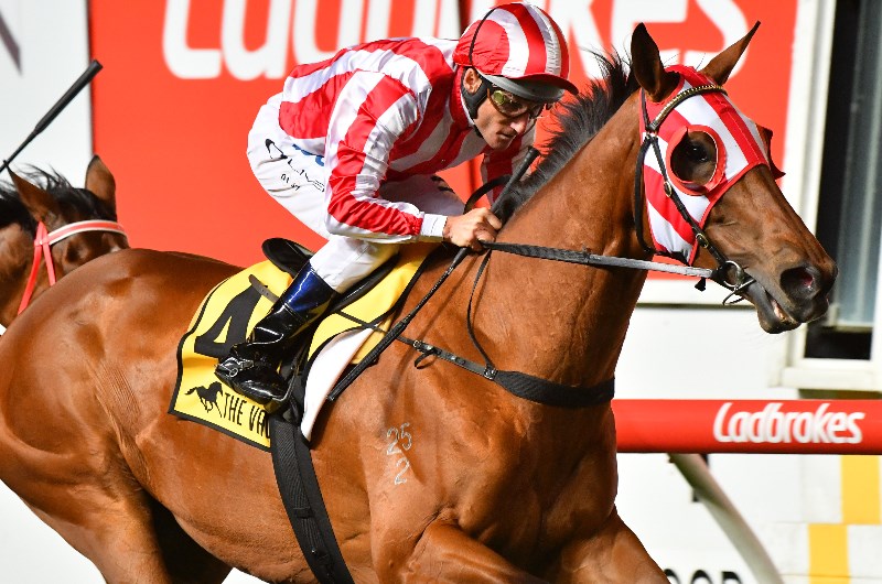 Damien Oliver Megabet