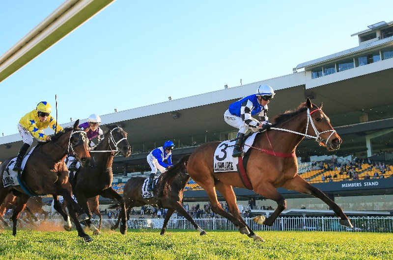 Weekend Racing Multi