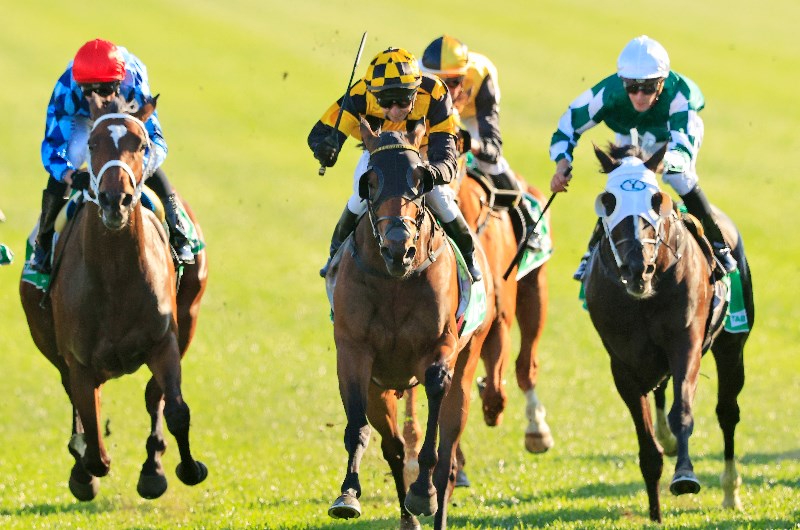 Big Bets Results from 03.10.2020