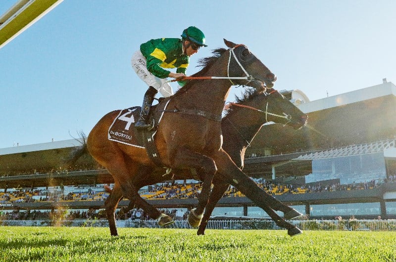 Caulfield Guineas 2020 Odds