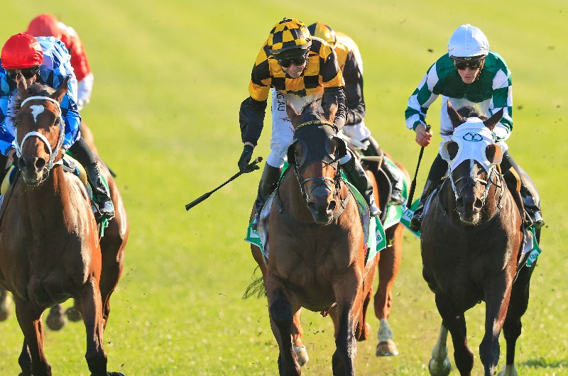 Epsom Probabeel Epsom Probabeel