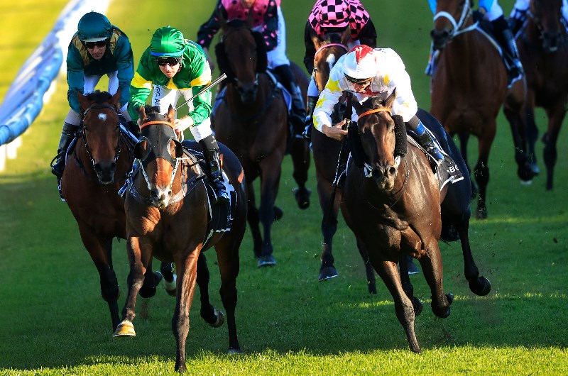 Caulfield Guineas 2020 final field