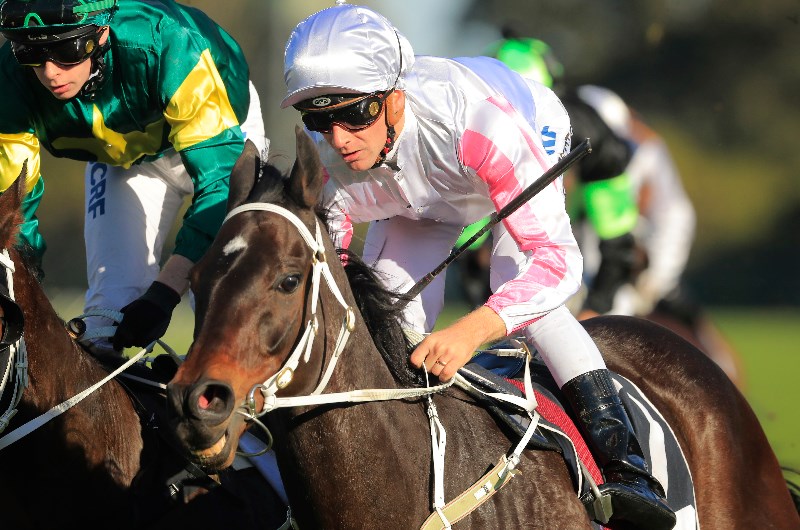 Sam Clipperton Megabet