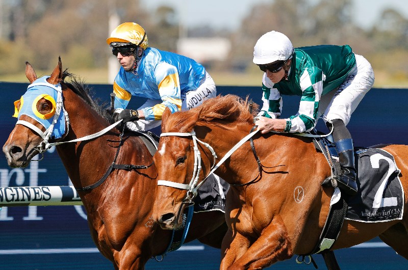 Thousand Guineas Tips