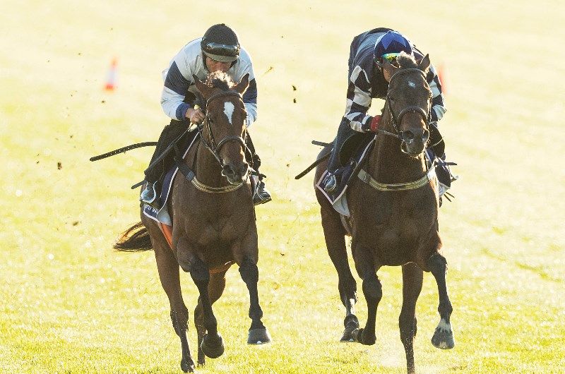 Caulfield Stakes Tips