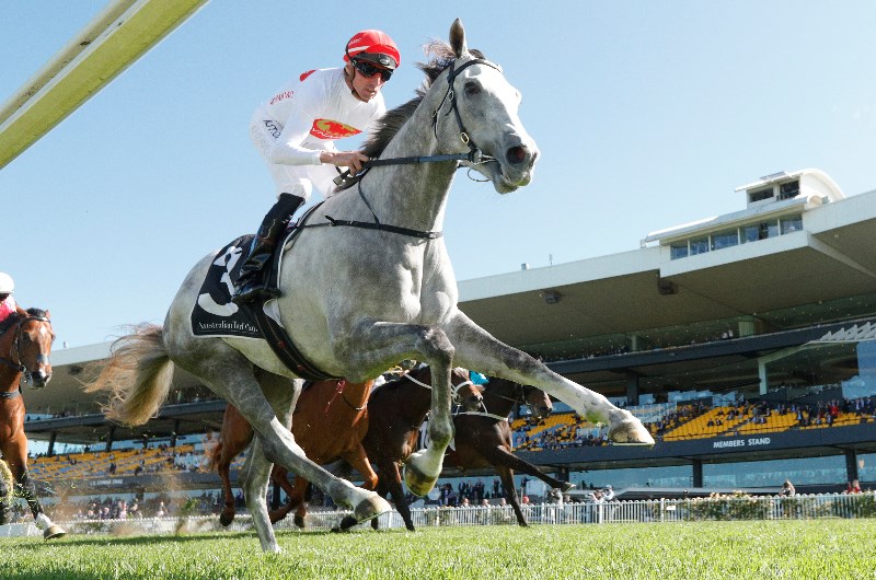 Spring Champion Stakes Field