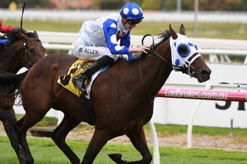 Toorak Handicap Final Field