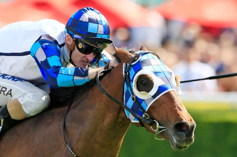 Toorak Handicap Tips
