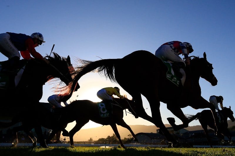Port Macquarie Tips