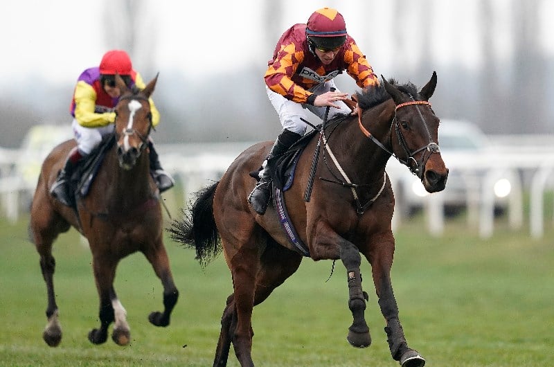 Horse Rsa 2021 RSA Novices’ Chase Tips – Three Horses To Follow