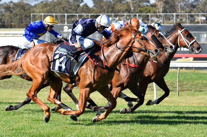 Kyneton Tips