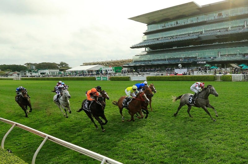 The Everest Tips