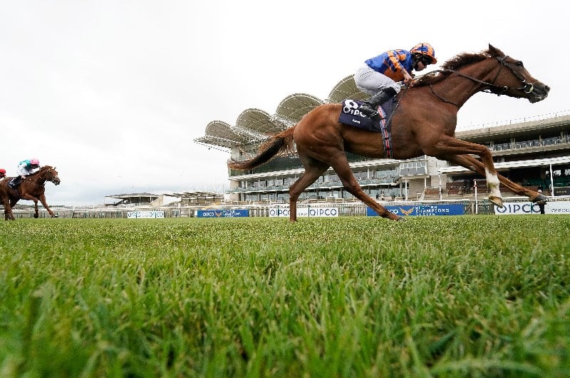 1000 guineas