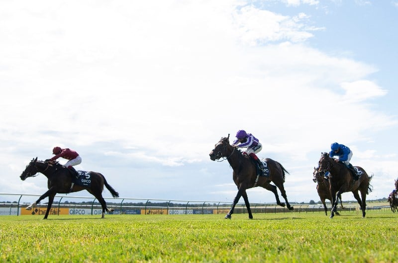 2000 guineas stakes horse races results 2000 guineas stakes horse races results