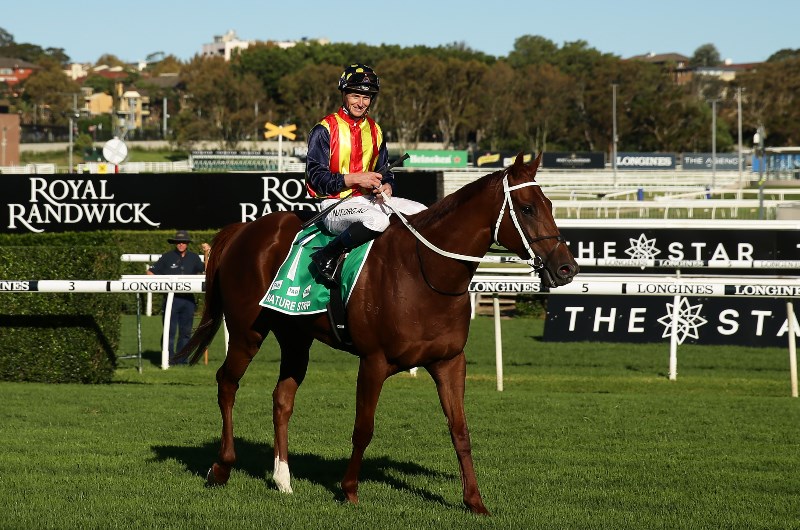 Big Bets for 17.10.2020